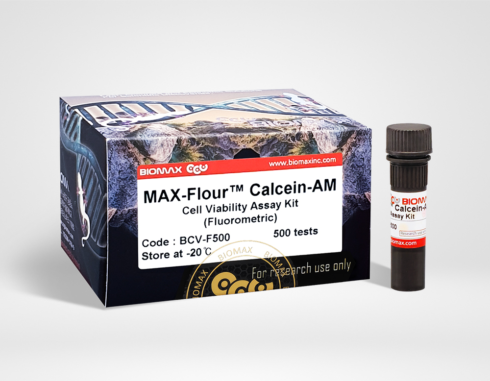 MAX-Fluor™ Calcein-AM Cell Viability Assay Kit