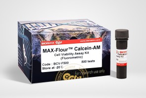 MAX-Fluor™ Calcein-AM Cell Viability Assay Kit