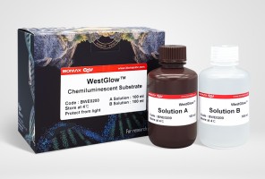 WestGlow™ ECL Chemiluminescent Substrate