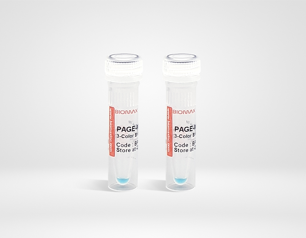 PAGE-Mark™ 3-Color Broad Range Protein Marker