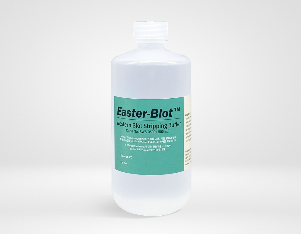 Easter-Blot™ Western Blot Stripping Buffer
