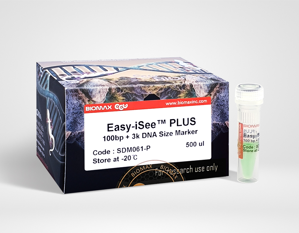 Easy-iSee™ 100bp + 3kb DNA Size Marker