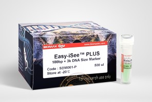 Easy-iSee™ 100bp + 3kb DNA Size Marker