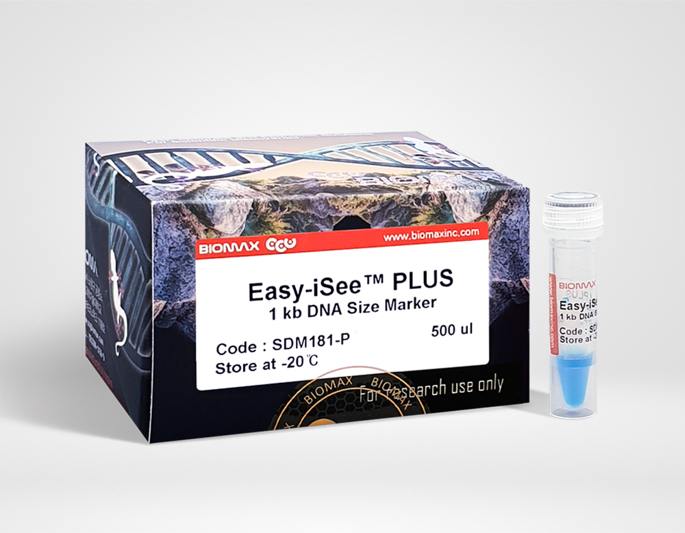 Easy-iSee™ 1Kb DNA Size Marker