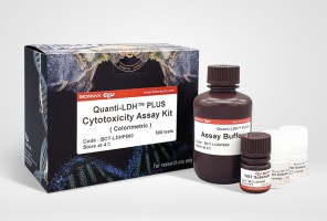 Quanti-LDH™ PLUS Cytotoxicity Assay Kit (WST-8)