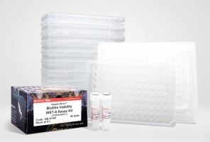 Quanti-Micro™ Biofilm Viability WST-8 Assay Kit (Colorimetric)