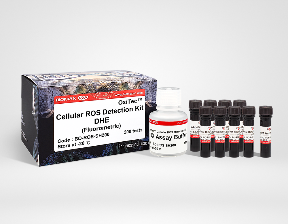 OxiTec™ Cellular ROS Detection Kit-DHE
